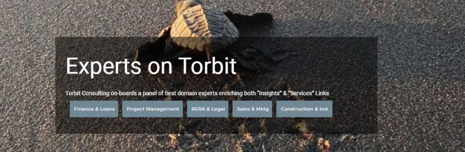 Torbit Consulting Cover Image