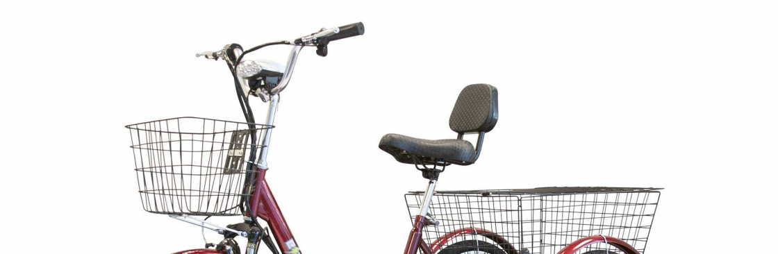 Electri Ride Cover Image