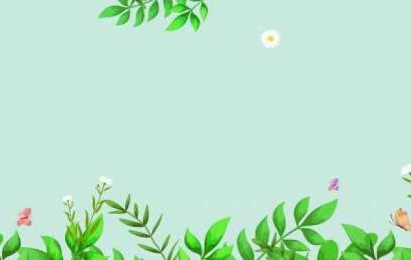 <h1>Ung Sa C Tng Chiu Cao Thng? Top 12 Sa Tng Chiu Cao n B Cht Lng Nht</h1>