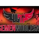 Wisemen Wholesale Profile Picture