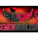 Wisemen Wholesale Profile Picture