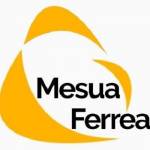 Mesua Ferrea profile picture