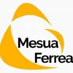 Mesua Ferrea Profile Picture