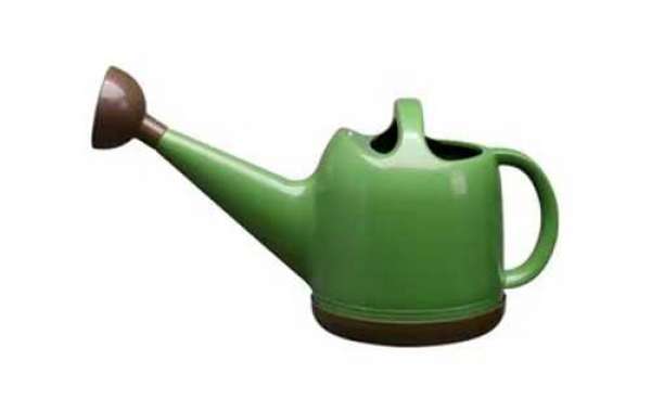 You Could Know Size and Handle Position For The Watering Can With Removable Shower