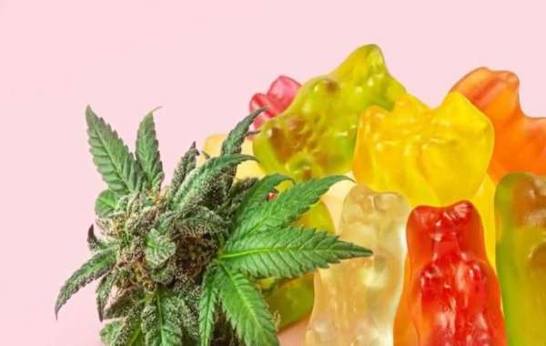 How To Get Medigreens CBD Gummies?