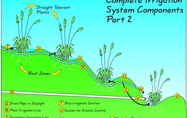 Conserving Water With Your Landscape Irrigation System