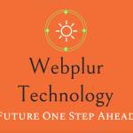 webplur technology Profile Picture