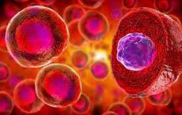 Can Stem Cells Treat Diabetes?