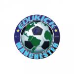 Football Academy England Profile Picture