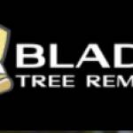 Blades Tree Removal profile picture