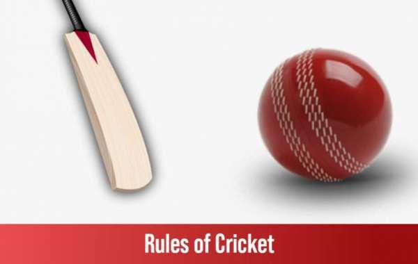 Cricket Rule Every IPL Cricket Fans Must Know About!