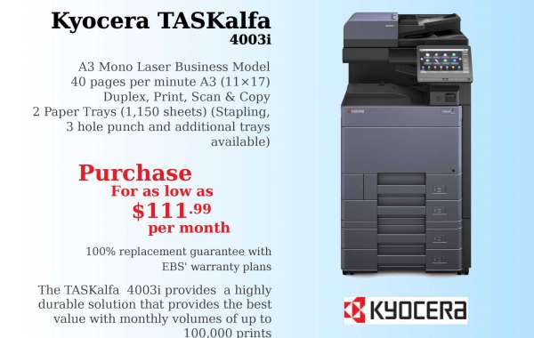 A Companion to Choosing the Right Wide Format Printer/ Scanner for Your Business