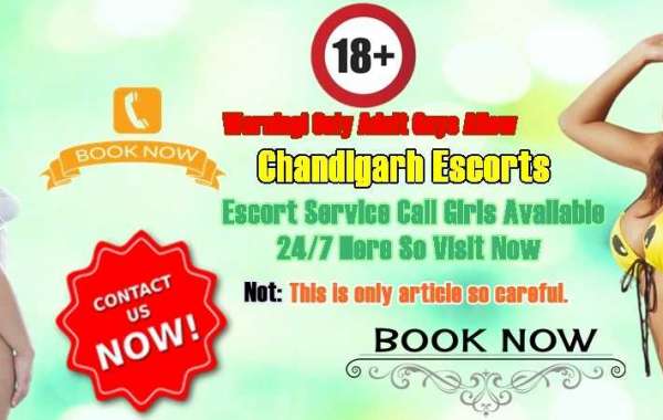 Chandigarh Escorts Service | All Escort Girls 24/7