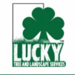 Lucky Tree and Landscape Services Profile Picture