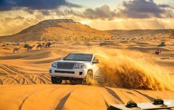 Desert Safari Activities - The Perfect Arabian Adventure