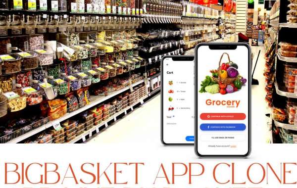Bigbasket Clone Trends You Should Know Before Even Starting Your Business