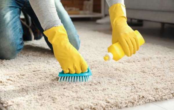 Top 4 Benefits of Getting a Professional | Carpet Cleaning Bulli