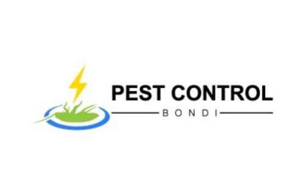 Hire Professional Best Pest Control Services in Bondi
