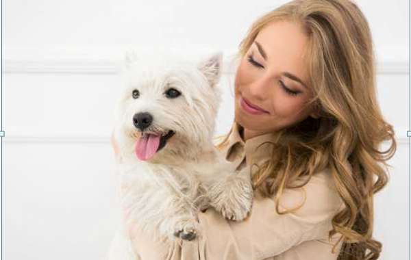 The Emotional Benefits of Having a Pet