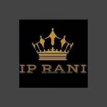 IP Rani Profile Picture