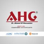 AHG Audit of Accounts Profile Picture