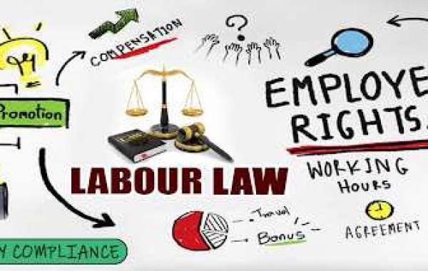 Labour Law Compliance