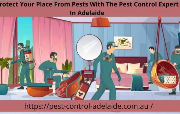 Advantageous Pest Control Services in Adelaide