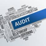 Auditors UAE profile picture