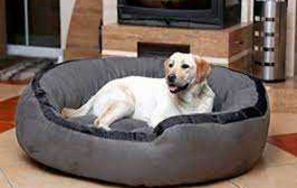 Buy Dog Beds & Mattresses Online in India