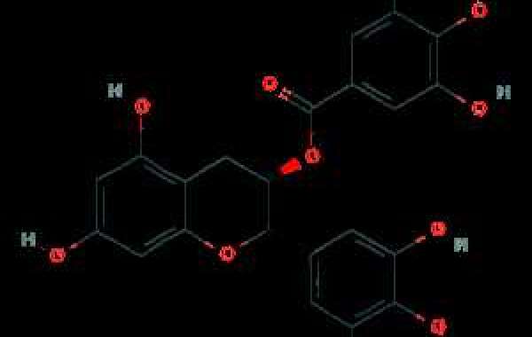 Epigallocatechin Gallate: Benefits, Dosage, and Safety