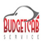 budgetcabs service Profile Picture