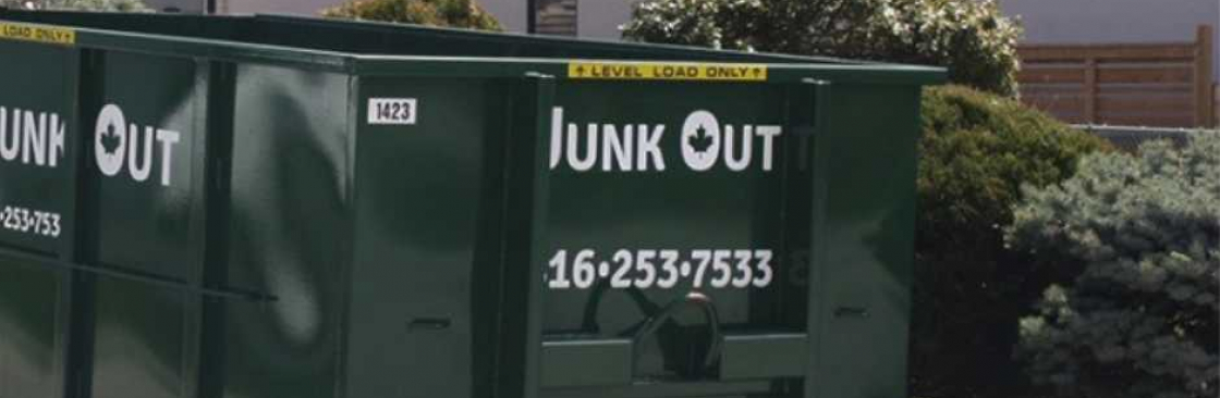 Junk Out Cover Image