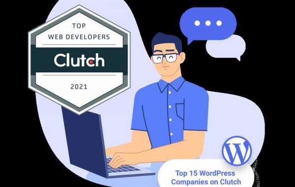 wordpress theme development