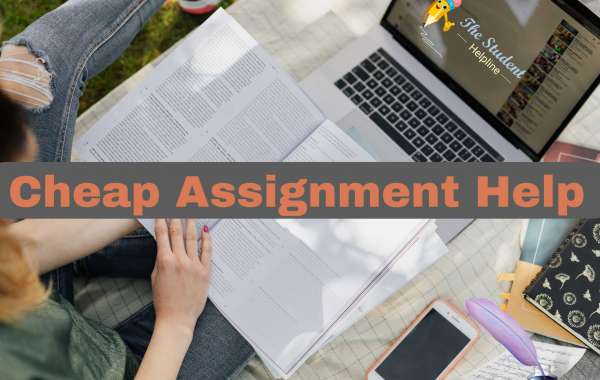 Cheap Assignment Help Considers Both Your Grades And Your Budget!