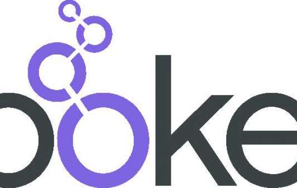 Is looker the right analytical tool for your business?