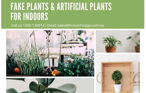 How Artificial Plants Can Make your House look Beautiful
