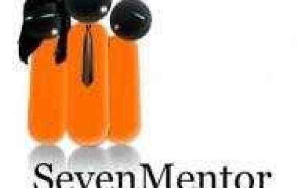 Seven Mentor Data Science Classes In Chennai