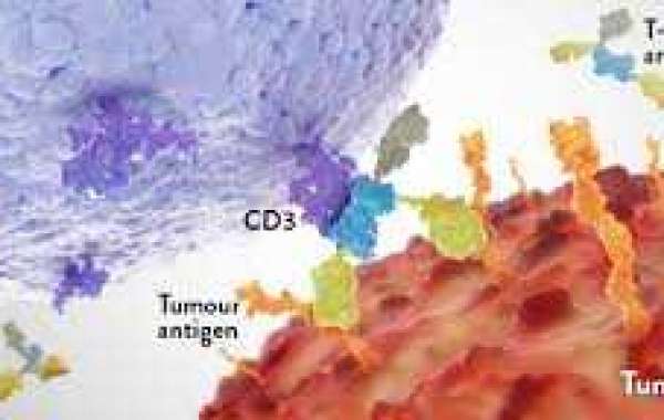 Clinical progress of hepatocellular carcinoma (HCC) treatment