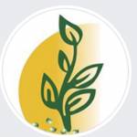 Biocarve Seeds Profile Picture