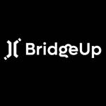 BridgeUp Profile Picture