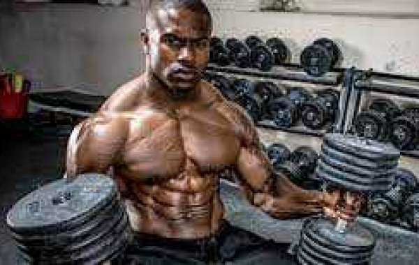 Bodybuilding Workout Routines For Mass Muscle Building