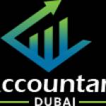 accountant dubai profile picture