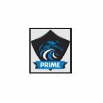 Primesecurity Profile Picture