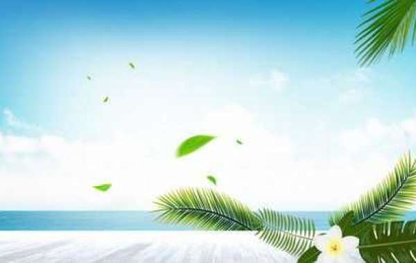 Search Engine Optimization Consultants Cornwall & Oxford