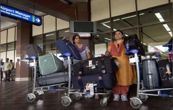 indigo baggage allowance