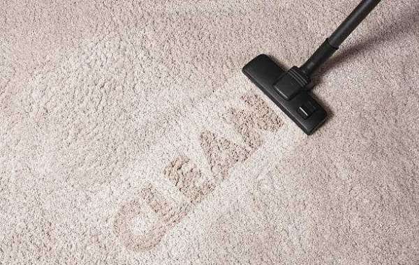 How Many Times Should You Clean Your Carpet?