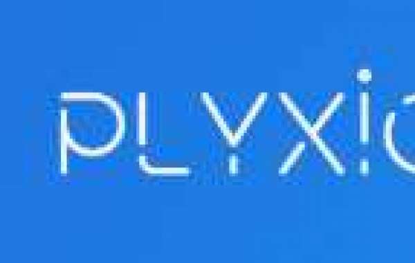 Plyxio Digital Agency
