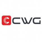 CWG MARKETS Profile Picture