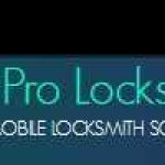 Decatur Pro Locksmith, LLC Profile Picture