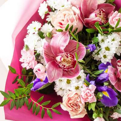 Buy Rosa Romance Profile Picture